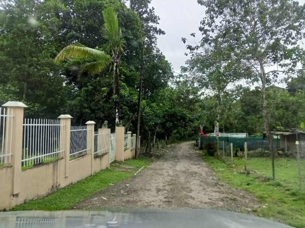 Dirt countryside road surrounded by dense vegetation leading to farm land lot Caimitillo Panama
