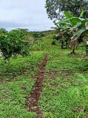 Land for Sale in Panamá Norte - 0 bedrooms