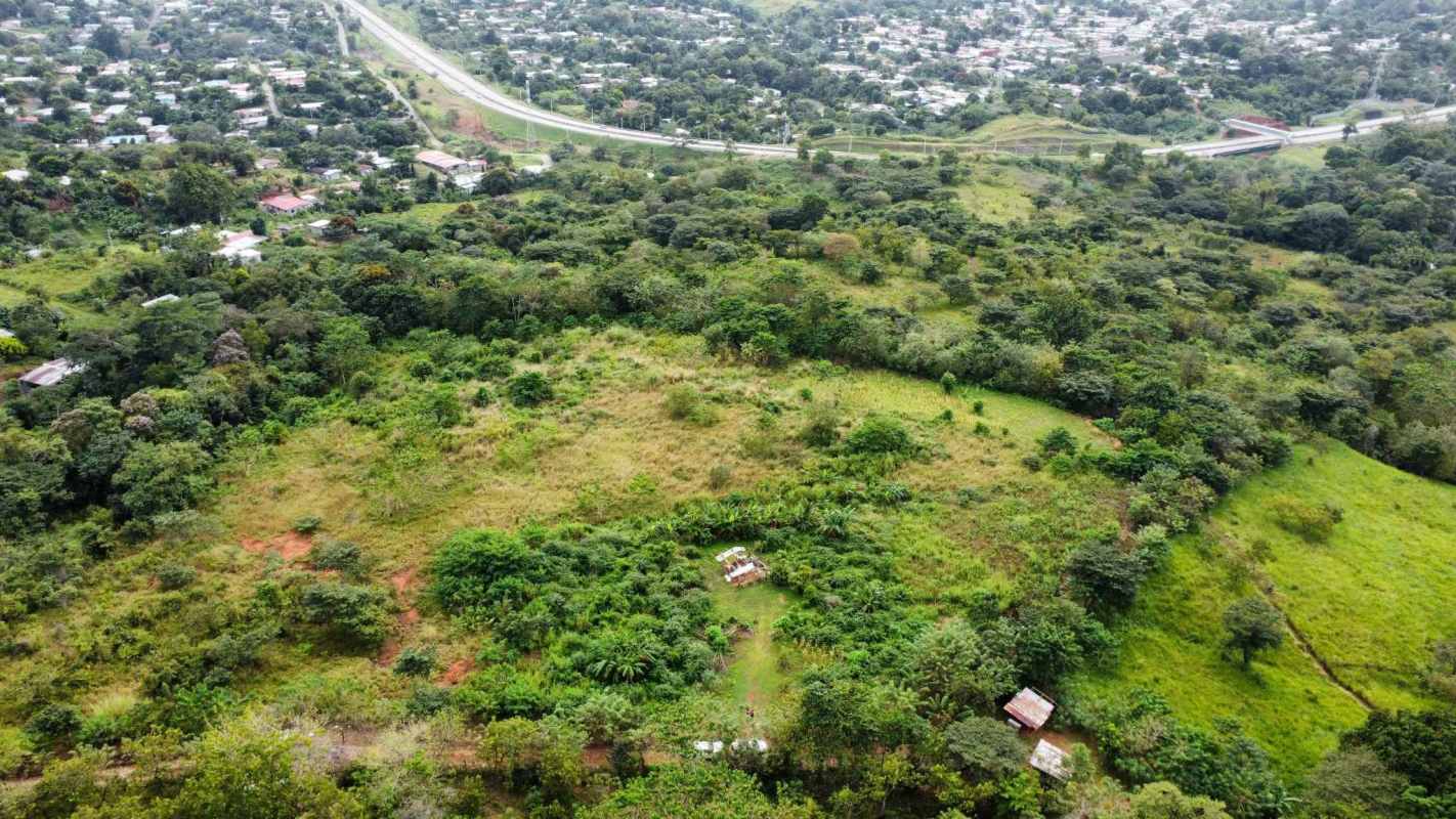 Large green undeveloped plot aerial shot Las Mañanitas near Tocumen Panama