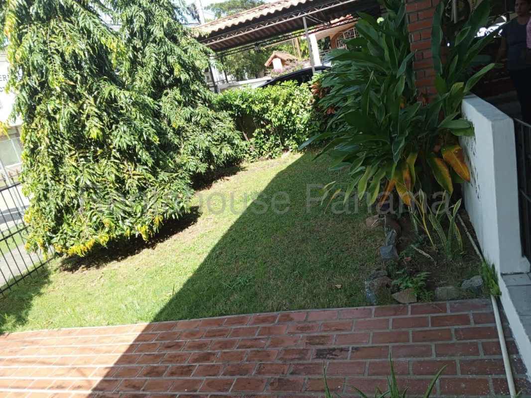 Lush backyard garden with mature trees and shaded lawn at house in Miraflores Betania Panama City