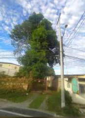 Mixed Commercial and Residential for Sale in Penonomé Centro - 4 bedrooms