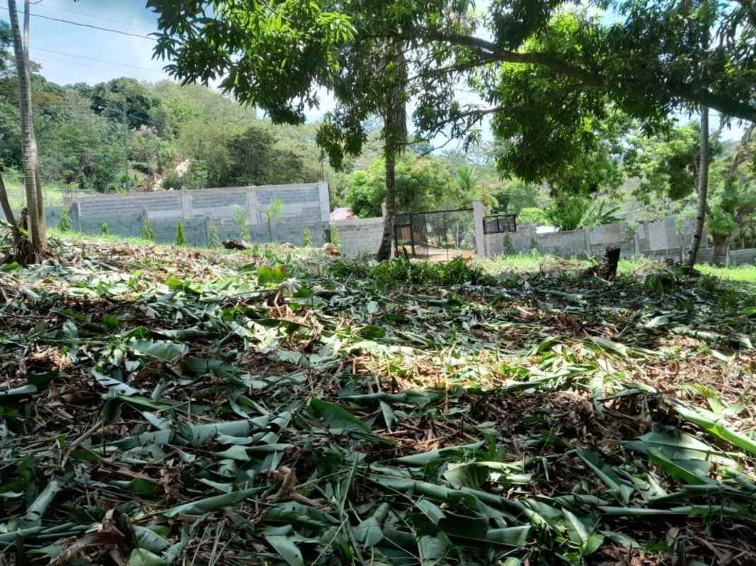 Fenced and gated 1830 sq m plot of land surrounded by trees, near La Doña and Cerro Azul.