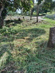 Land for Sale in 24 de Diciembre - 0 bedrooms