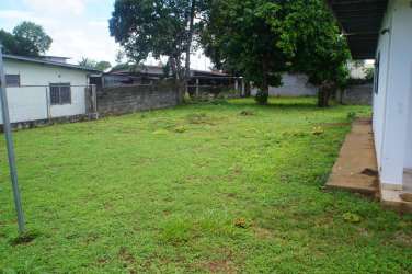 Large green backyard with mature trees fenced surrounding walls David Panama