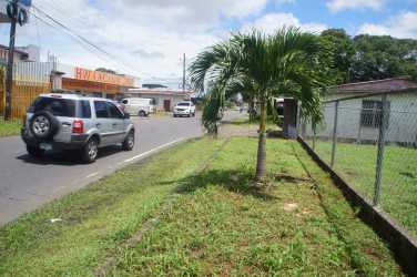 Palm tree and fenced roadside commercial property in David Panama Chiriquí