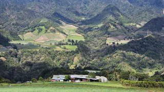 Agricultural/Farm Land for Sale in Tierras Altas - 0 bedrooms