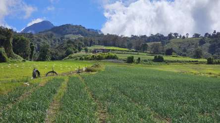 Aerial outlined property boundary of farm with mountain backdrop Bambito Tierras Altas Panama