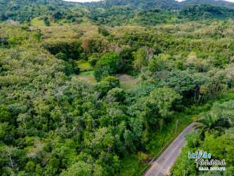 Forested agricultural land with scenic mountain backdrop in Coclé Panama