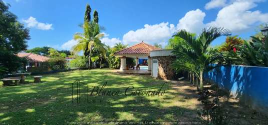 Bright living room with blue accent wall, bamboo furniture, tropical plants, Coronado Panama