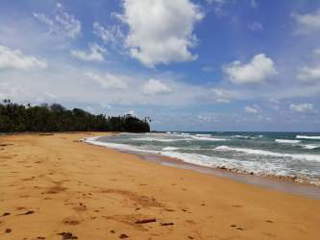 Land for Sale in Palenque - 0 bedrooms