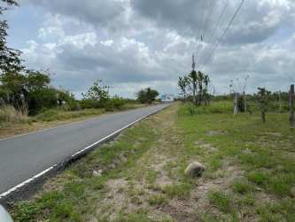 Lakefront lot with open green space trees and fence for sale in San Carlos Panama Oeste