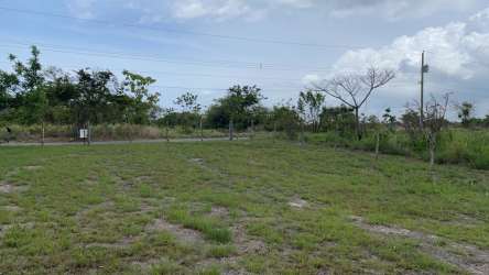 Open natural green space with trees and water at Laguna in San Carlos Panama land for sale