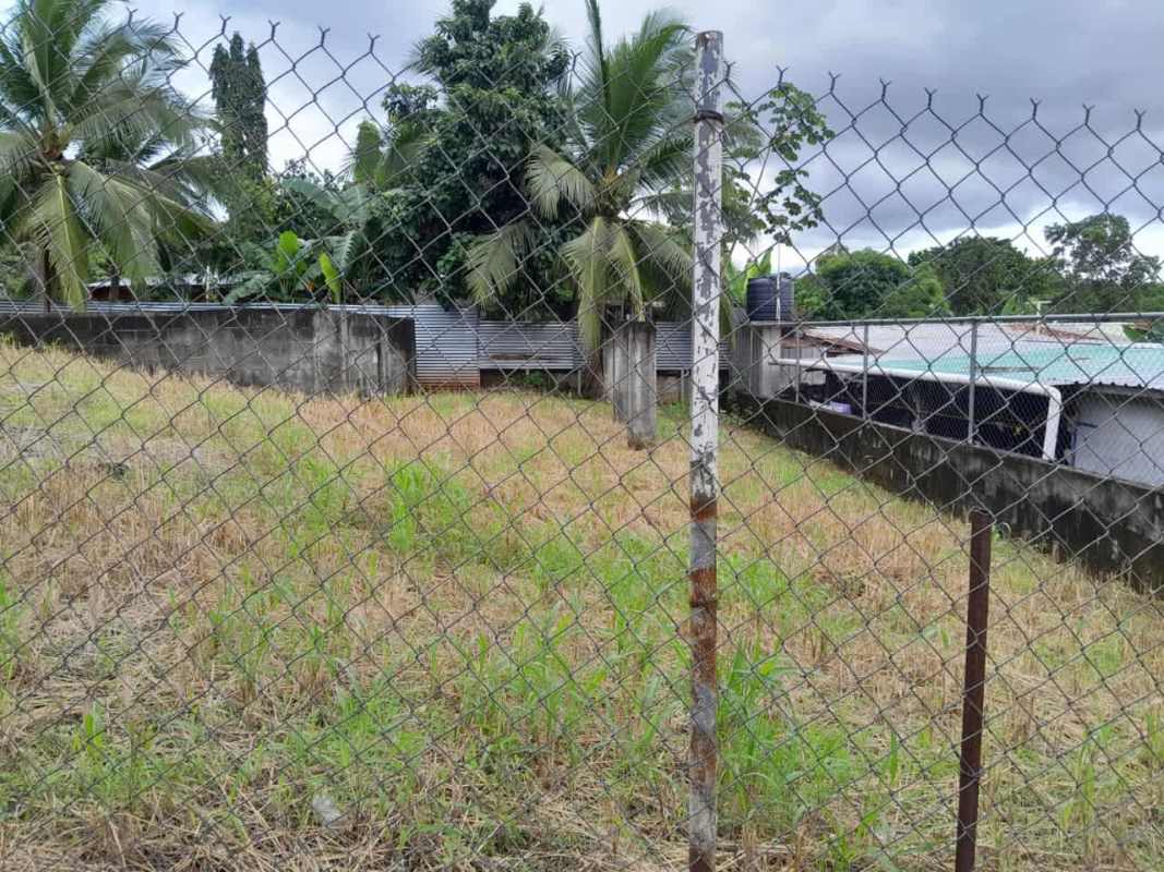 Fenced empty lot with grassy yard and palm trees in Genesis Divino Niño community Las Mañanitas Panama