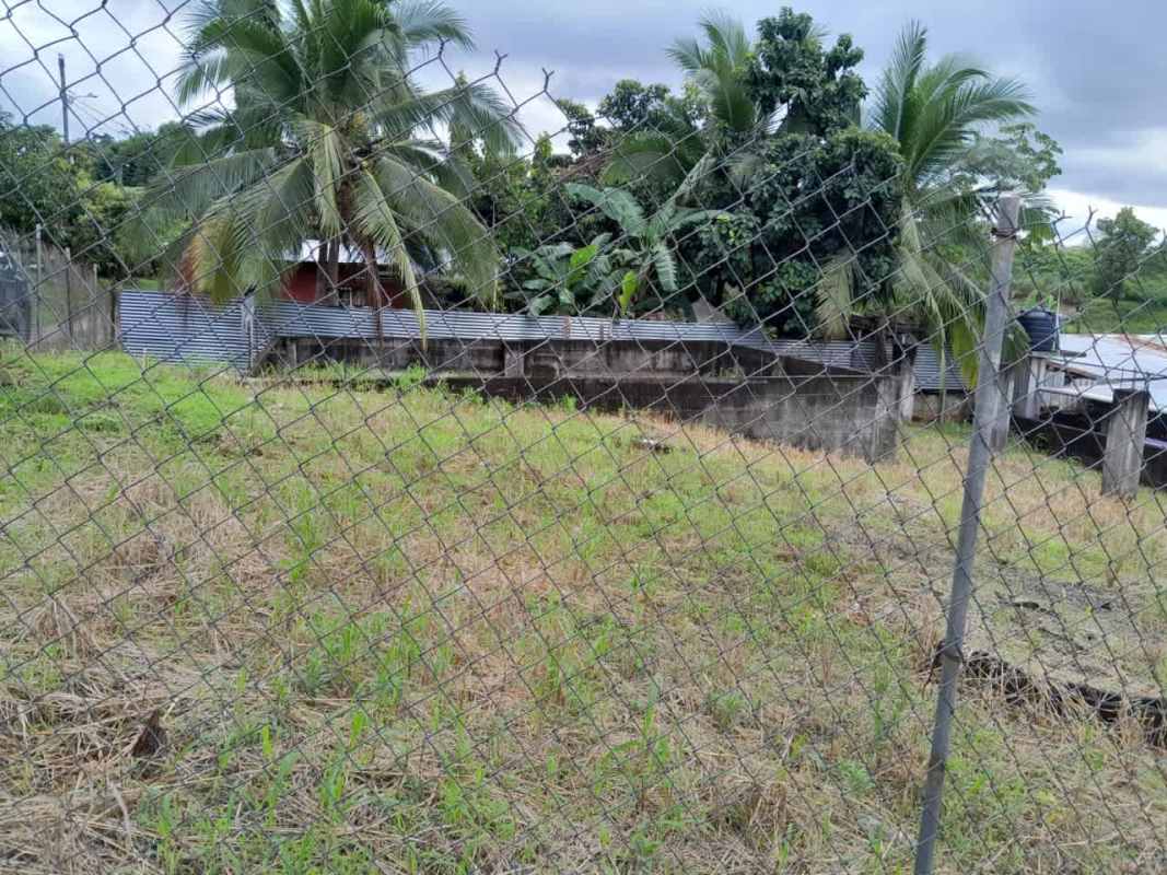 Fenced plot with palm trees and grassy ground in Divino Niño Genesis community Panama