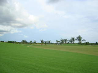 Land / Lot for Sale in Santa Maria - 0 bedrooms