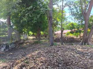 Residential Lot for Sale in San Carlos - 0 bedrooms