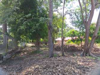 Tree-lined fenced residential lot near Pacific Ocean in Coronado Panama