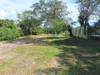 Open yard area near entrance mature tree grassy ground in Coronado Panama