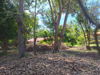 Mature trees in quiet residential lot close to beach in Coronado Panama