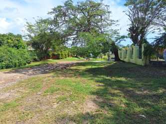 Spacious residential lot with large tree and clear space near beach Coronado Panama