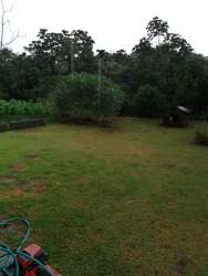 Large grassy backyard with natural trees in Residencial El Laurel La Chorrera