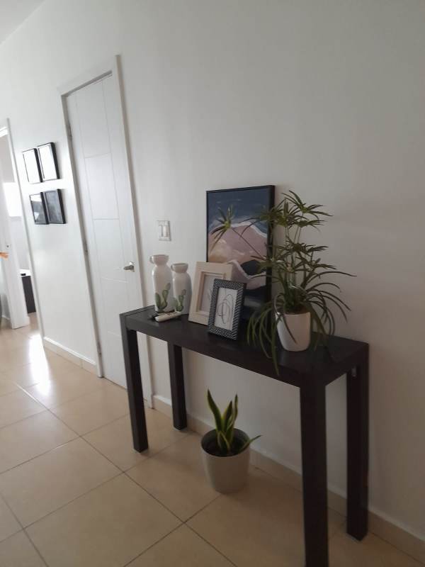 Minimalist hallway with console table, plants and artwork inside commercial space PH Oasis on the Bay Punta Pacifica