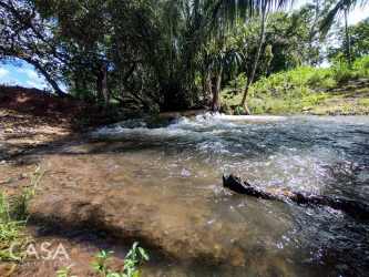 Pristine stream surrounded by greenery forming natural border in Dolega Chiriquí
