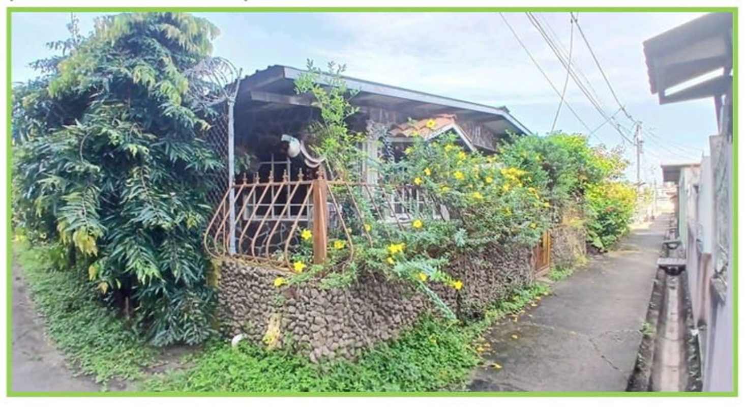 Garden with lush greenery metal fence side alley Juan Díaz Panama house for sale