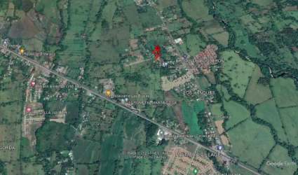 Spacious natural land for house or agriculture Chiriquí Panama gently wooded