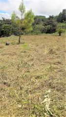 Land for Sale in Alto Boquete - 0 bedrooms