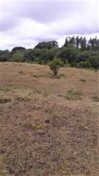 Vacant titled acreage with golf and volcano views Boquete Panama