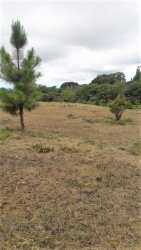 Open residential land parcel with nature views in Lucero Boquete
