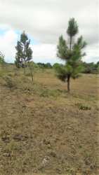 Large titled lot in golf community with mountain backdrop Lucero Boquete Panama