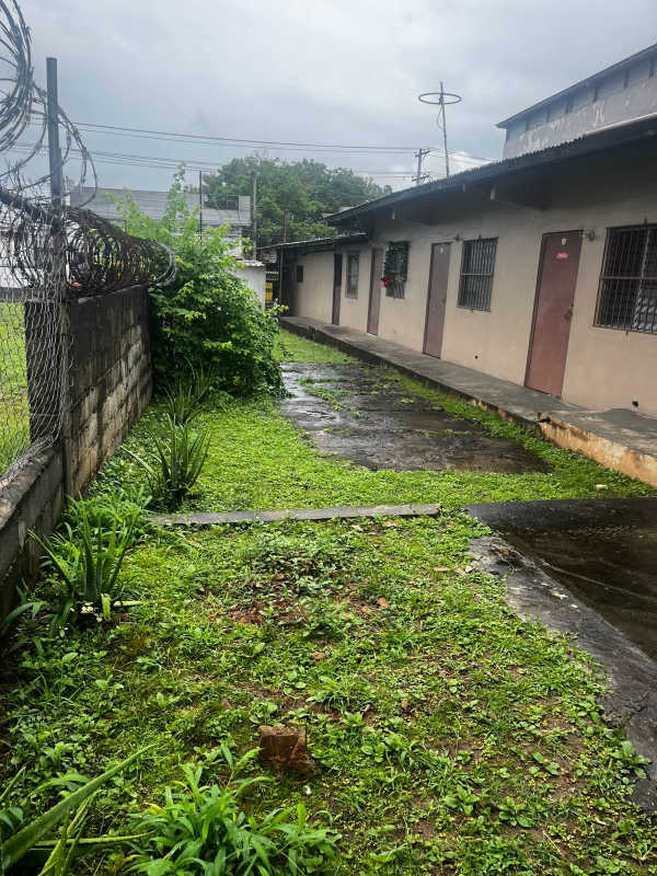Fully fenced commercial yard with mature trees, barbed wire and ample outdoor area in Pedregal