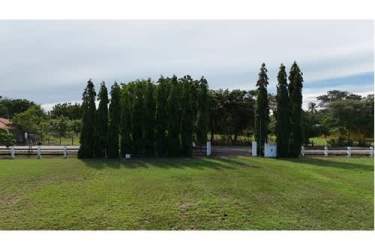 Beachside 2BR Country Home - 8001m² Land Close to Playa Monagre - View 7