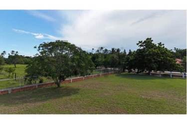 Beachside 2BR Country Home - 8001m² Land Close to Playa Monagre - View 9