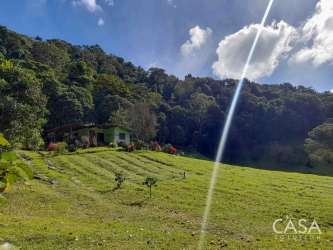 74,955m² Agricultural Farm with Small House in Nueva California, Volcán