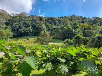 Mountain farm with income crops surrounded by dense forest Panama countryside
