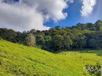 Lush green farmland with dense forest backdrop in Nueva California Chiriquí Panama