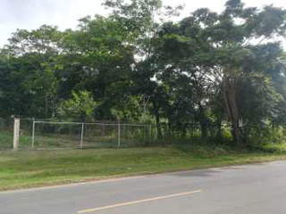 Property for rent in Panama City - 0 bedrooms