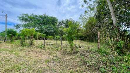 Vacant flat land with tree borders La Concepción Bugaba Chiriquí