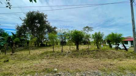 Large clear terrain plot with utility pole nearby in Bugaba Chiriquí for sale