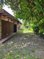 Private swimming pool with sun loungers and lush garden at Nueva Gorgona house Panama
