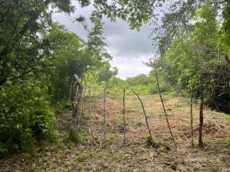 Expansive grassy lot with trees under cloudy sky in Coclé sales listing