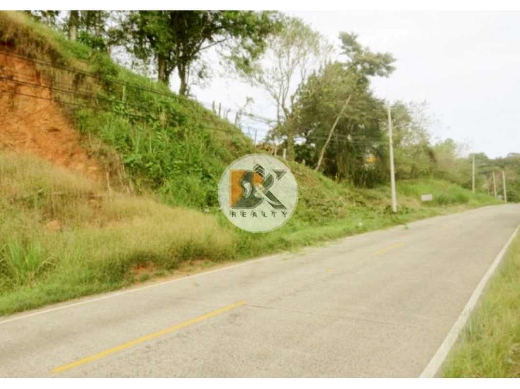 Paved access road next to 5,700m2 land with slope and trees in Brisas del Golf Panama