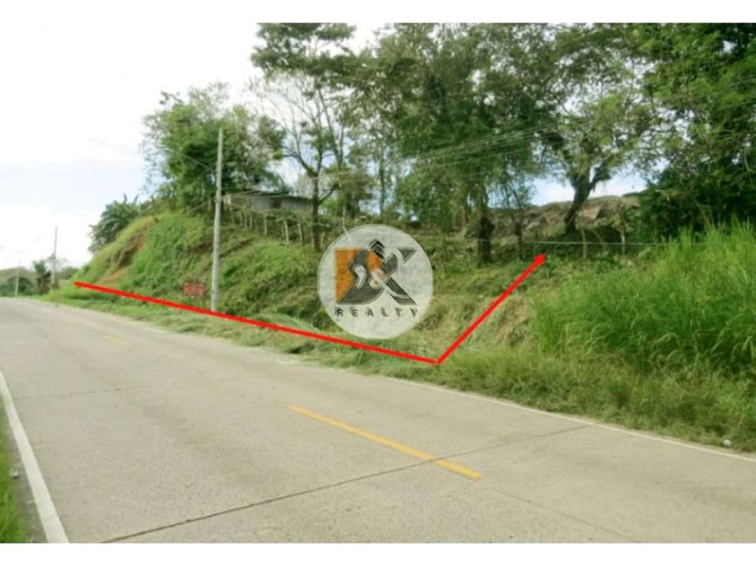 Roadside slope marked with red boundary line and utility pole on 5,700m2 Brisas del Golf land Panama