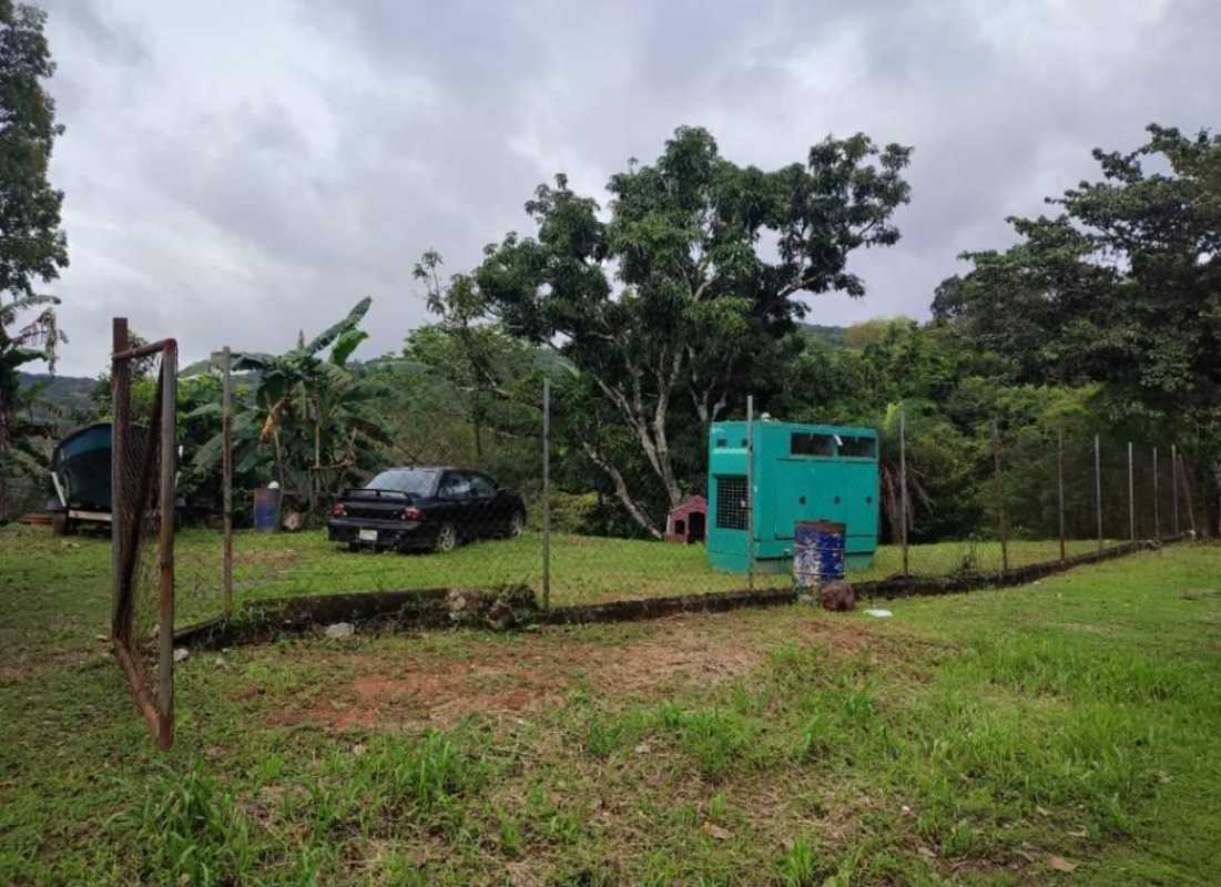 Large outdoor yard with fence, trees, and utility area in Santa Cruz Pedregal Panama