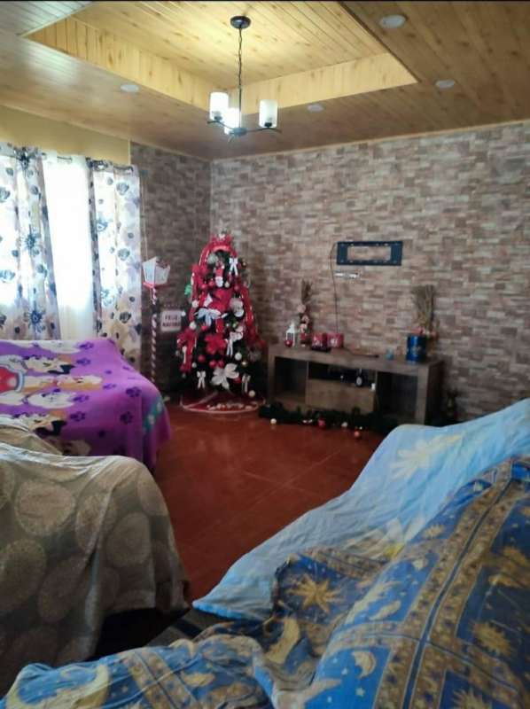 Cozy living room with brick accent wall, wooden ceiling, holiday decor in Santa Cruz Pedregal Panama