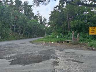 Curved rural road with bamboo trees and sign Limón agroforestry land Panama for sale
