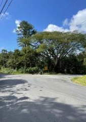 Land for Sale in Limón - 0 bedrooms